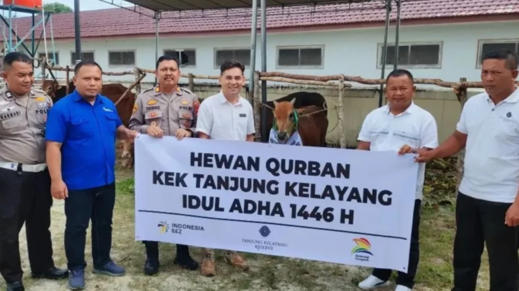 Inshot 20250606 000302716