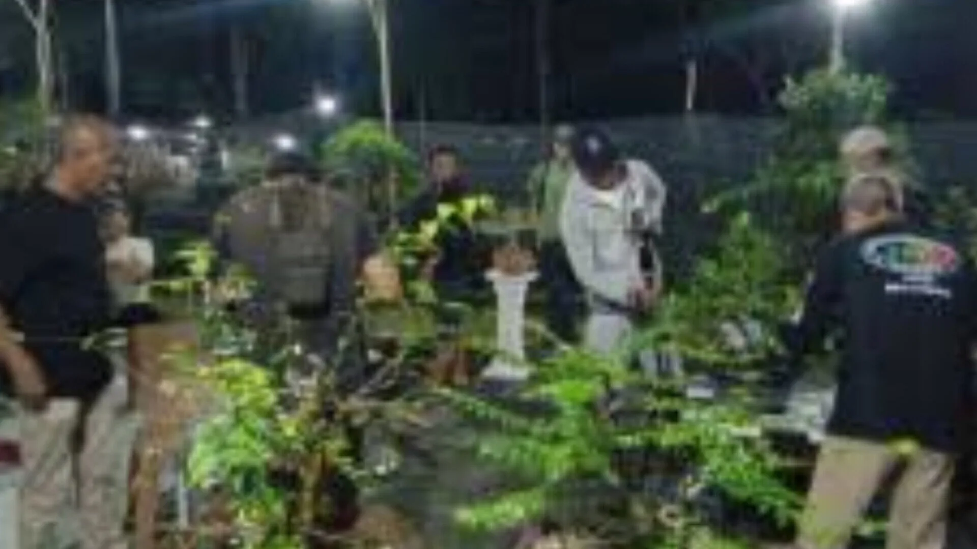 Inshot 20250819 142214273