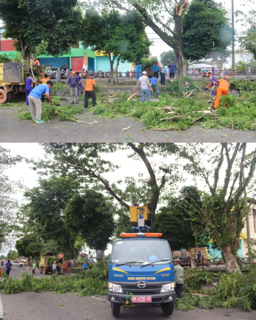 Inshot 20250913 013112363