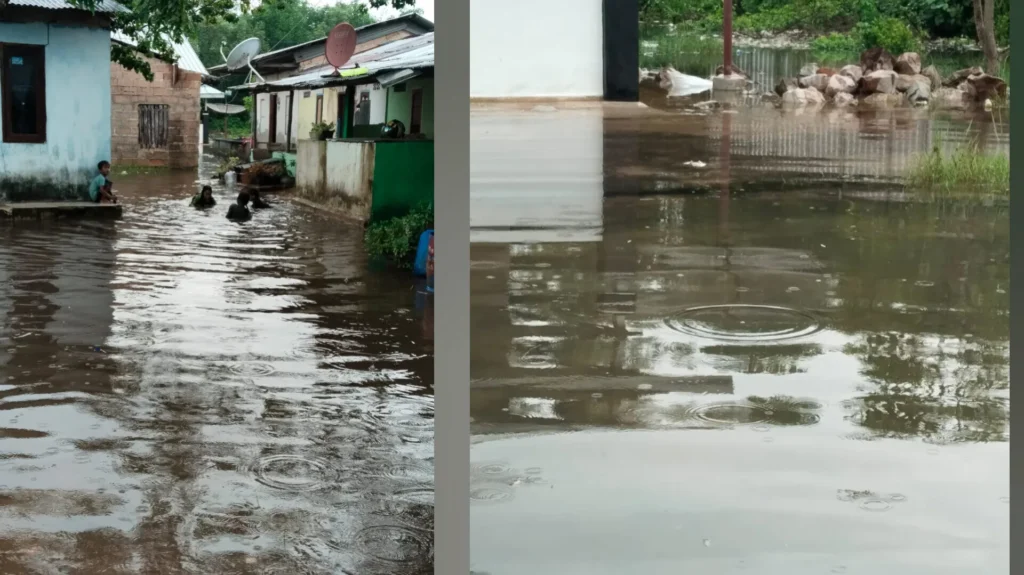 Inshot 20251110 162400394