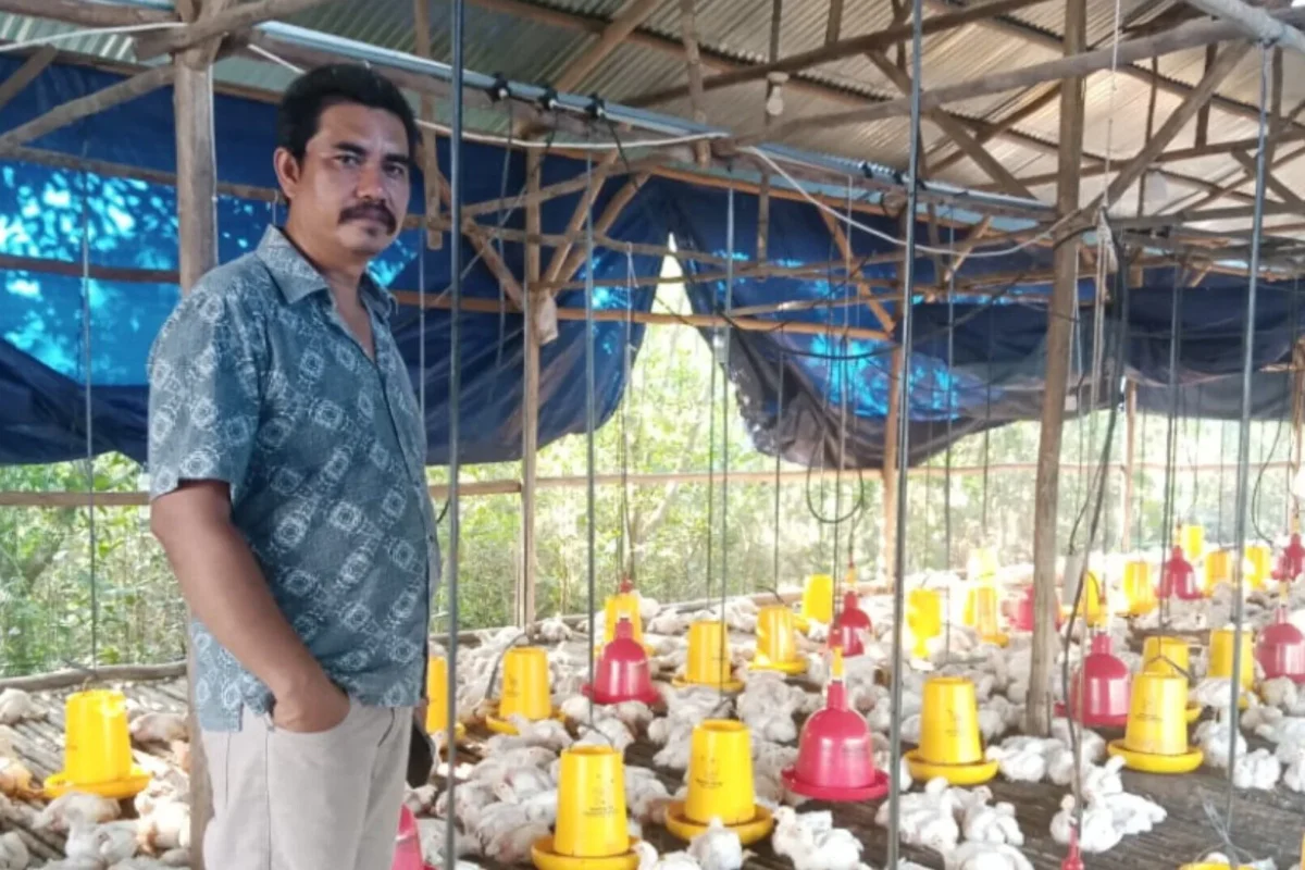 Inshot 20251110 183251681