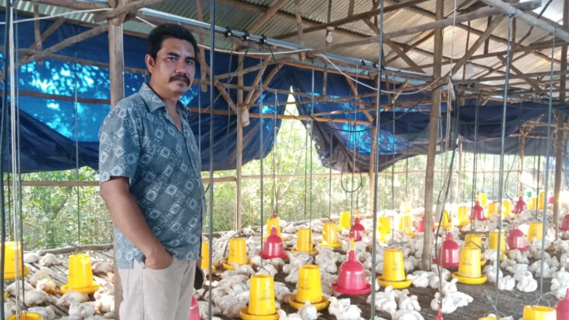 Inshot 20251110 183251681