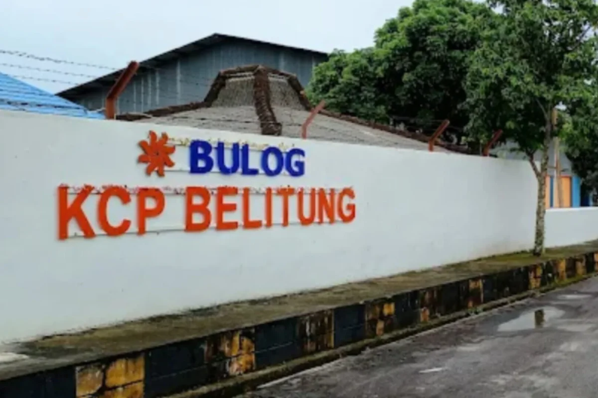 Inshot 20251113 202848380