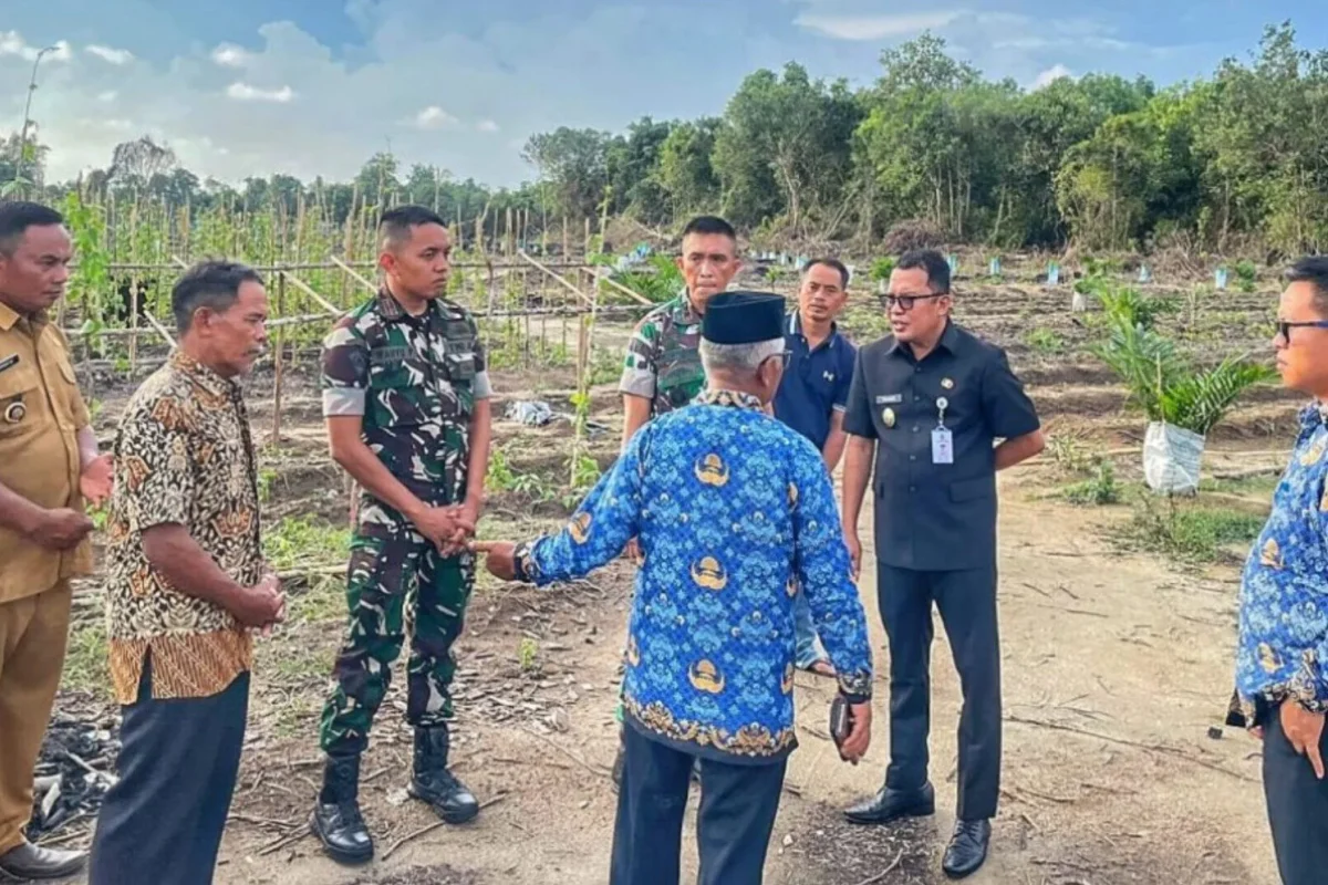 Inshot 20251118 171730598