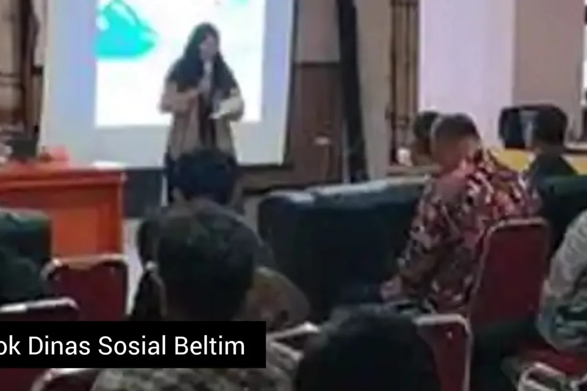 Inshot 20251118 175923587