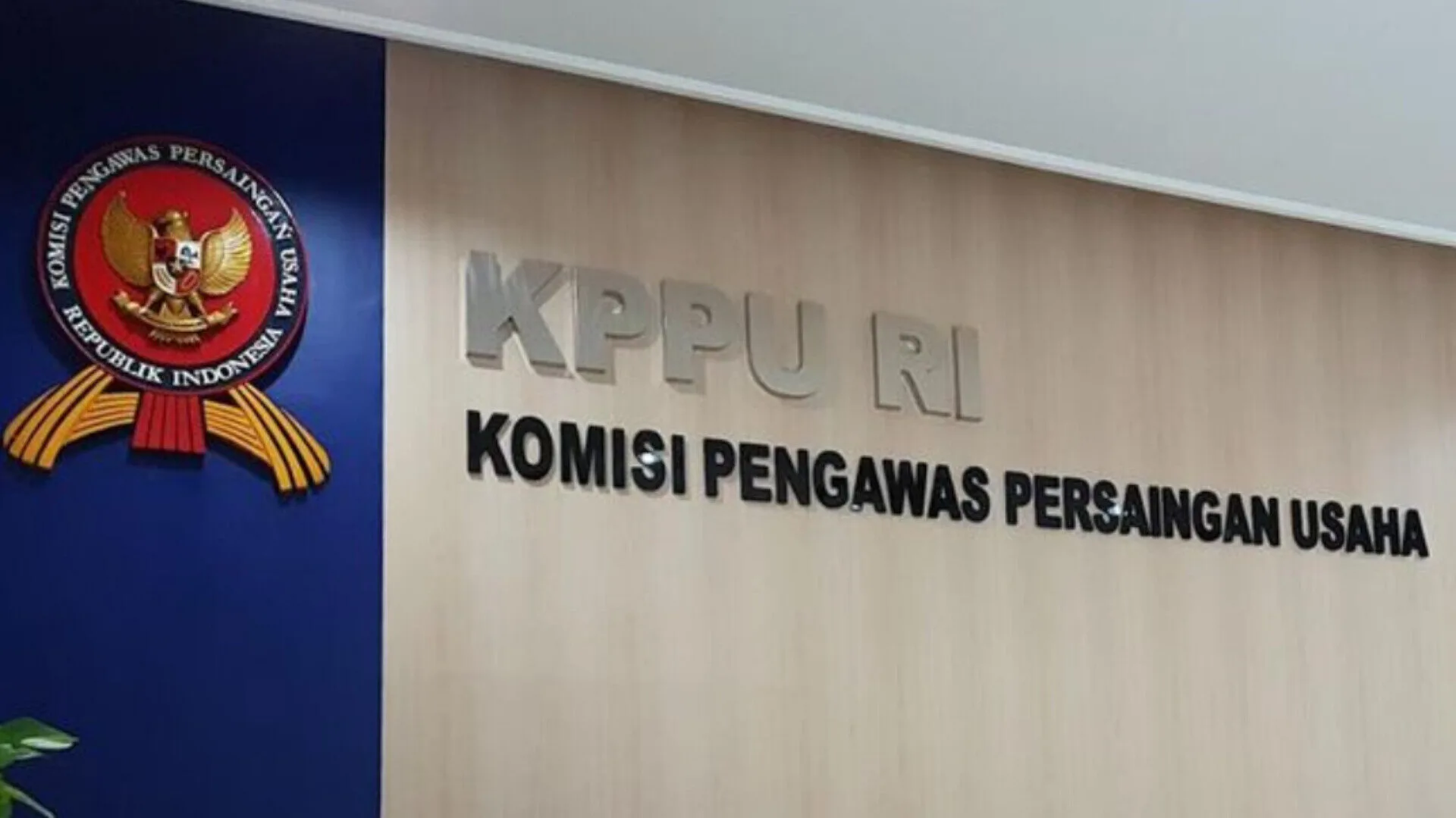 Inshot 20251118 185814729