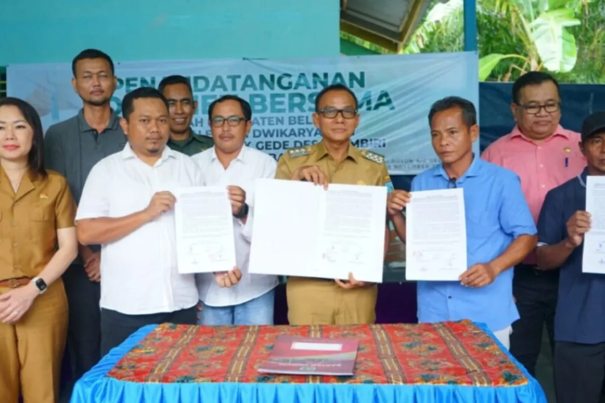 Inshot 20251119 181757262