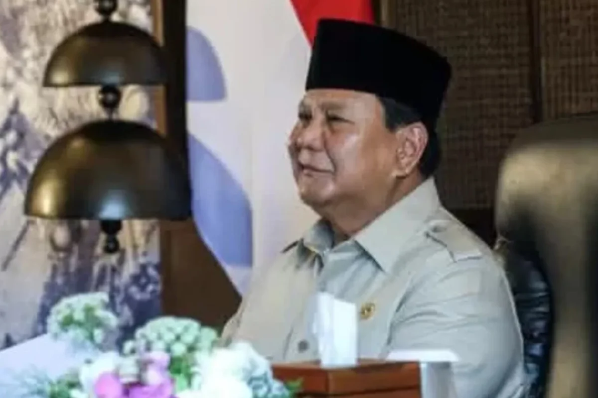 Inshot 20251124 105715407