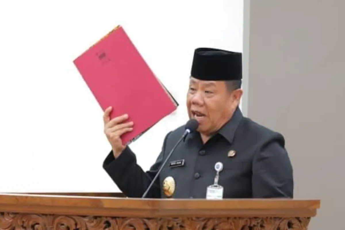 Inshot 20251124 220849036