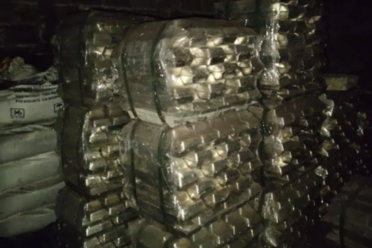 Inshot 20251124 224650611