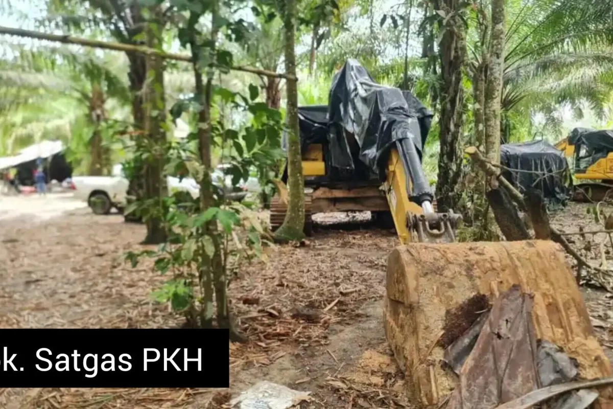 Inshot 20251125 001005811