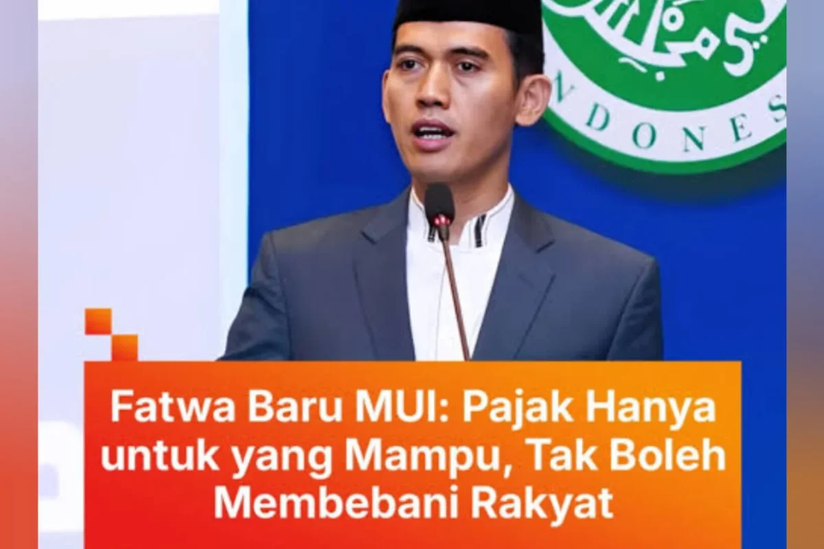 Inshot 20251127 054133889