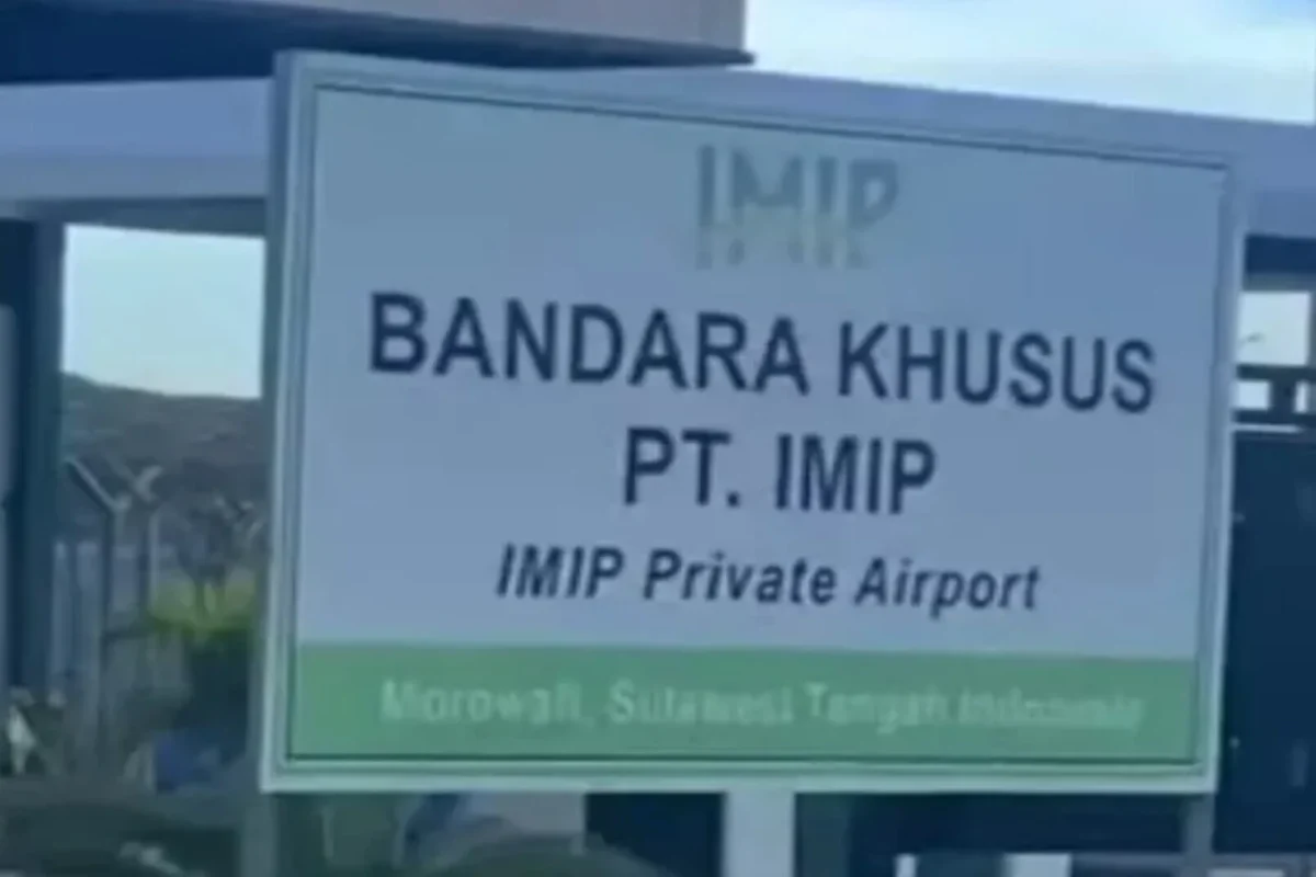 Inshot 20251127 055609334