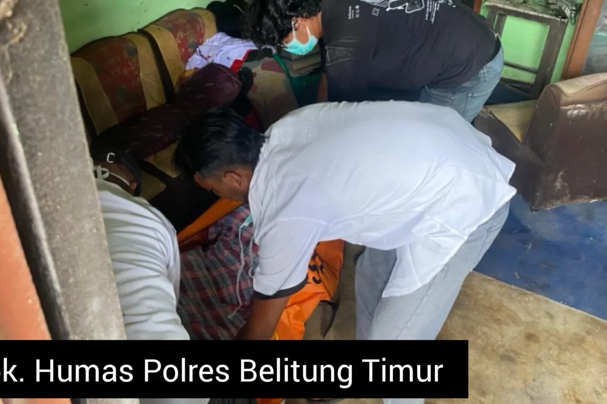 Inshot 20251127 074016421