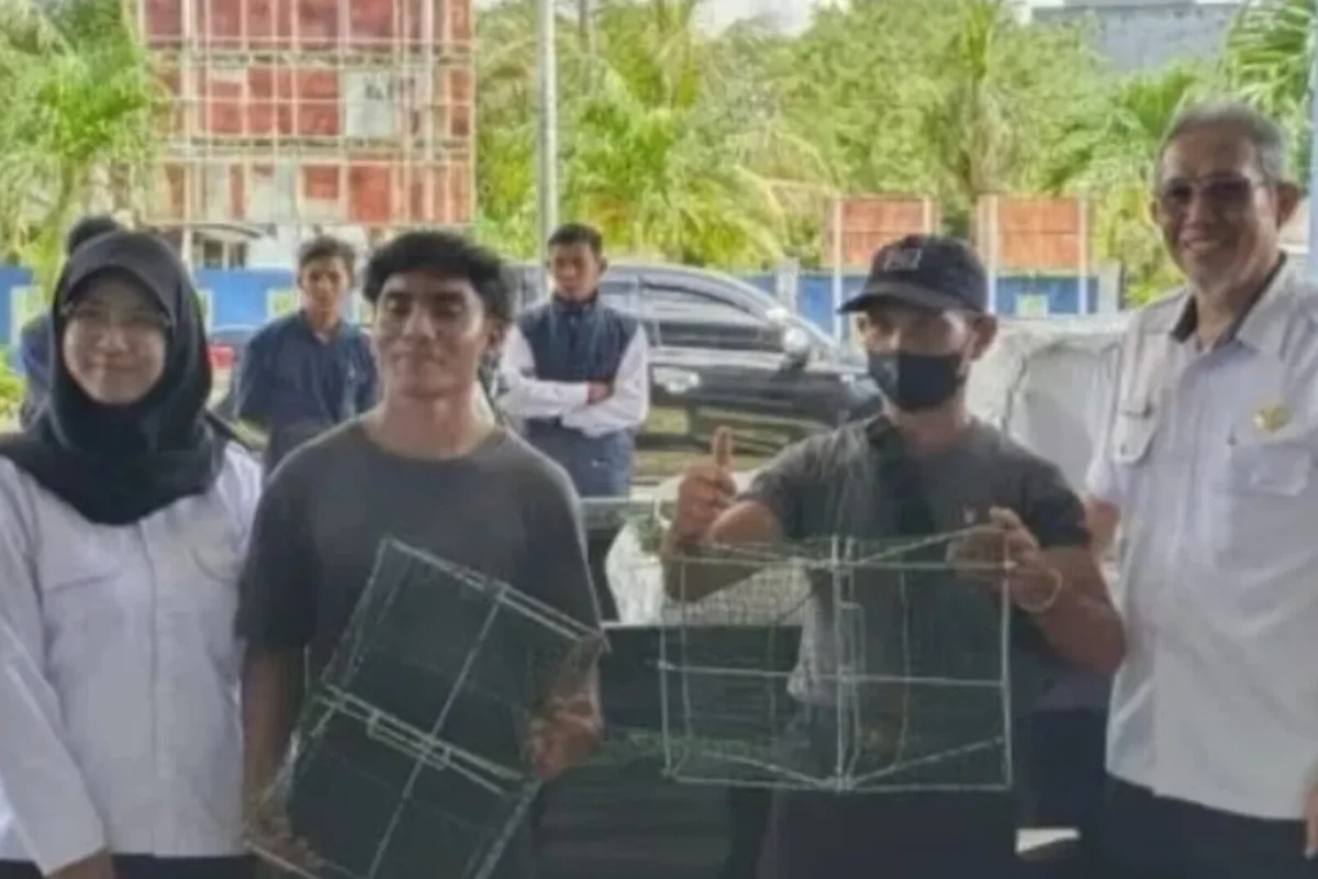 Inshot 20251204 091141496