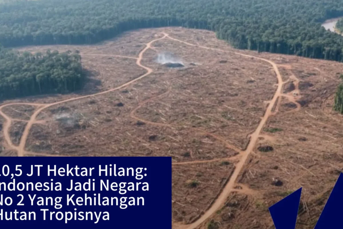 Inshot 20251208 132907928