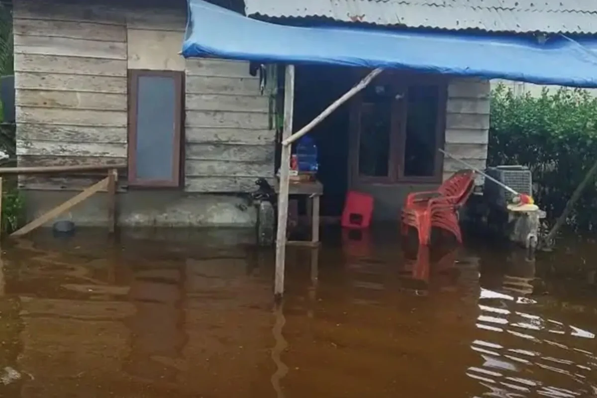 Inshot 20251208 141826096