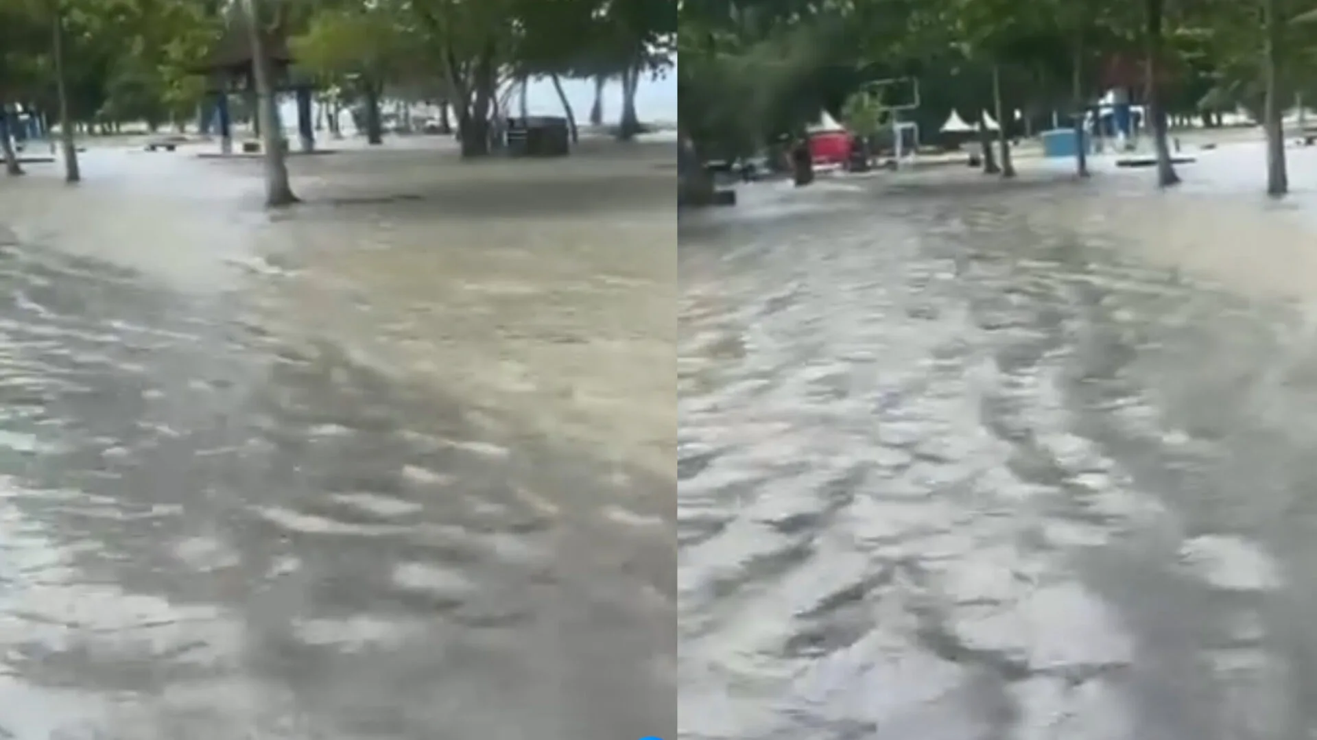 Inshot 20251208 172130133