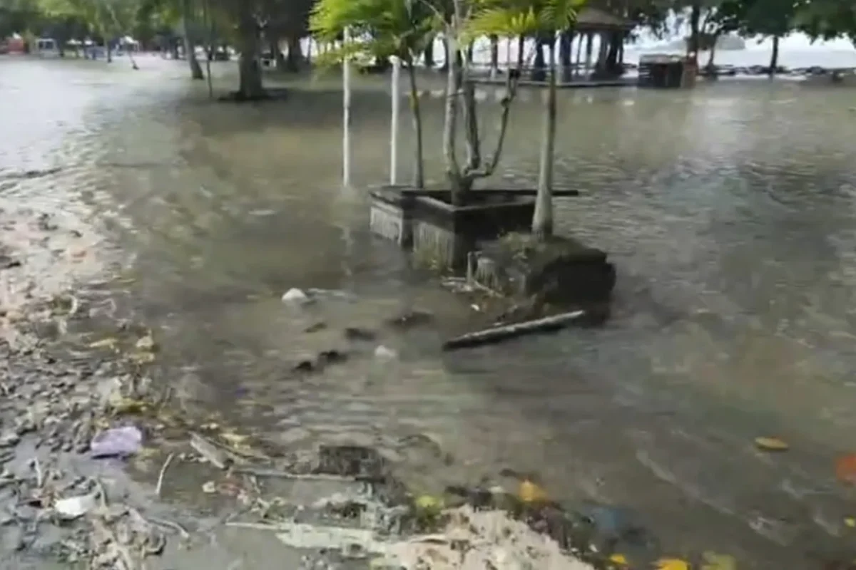 Inshot 20251209 112731731