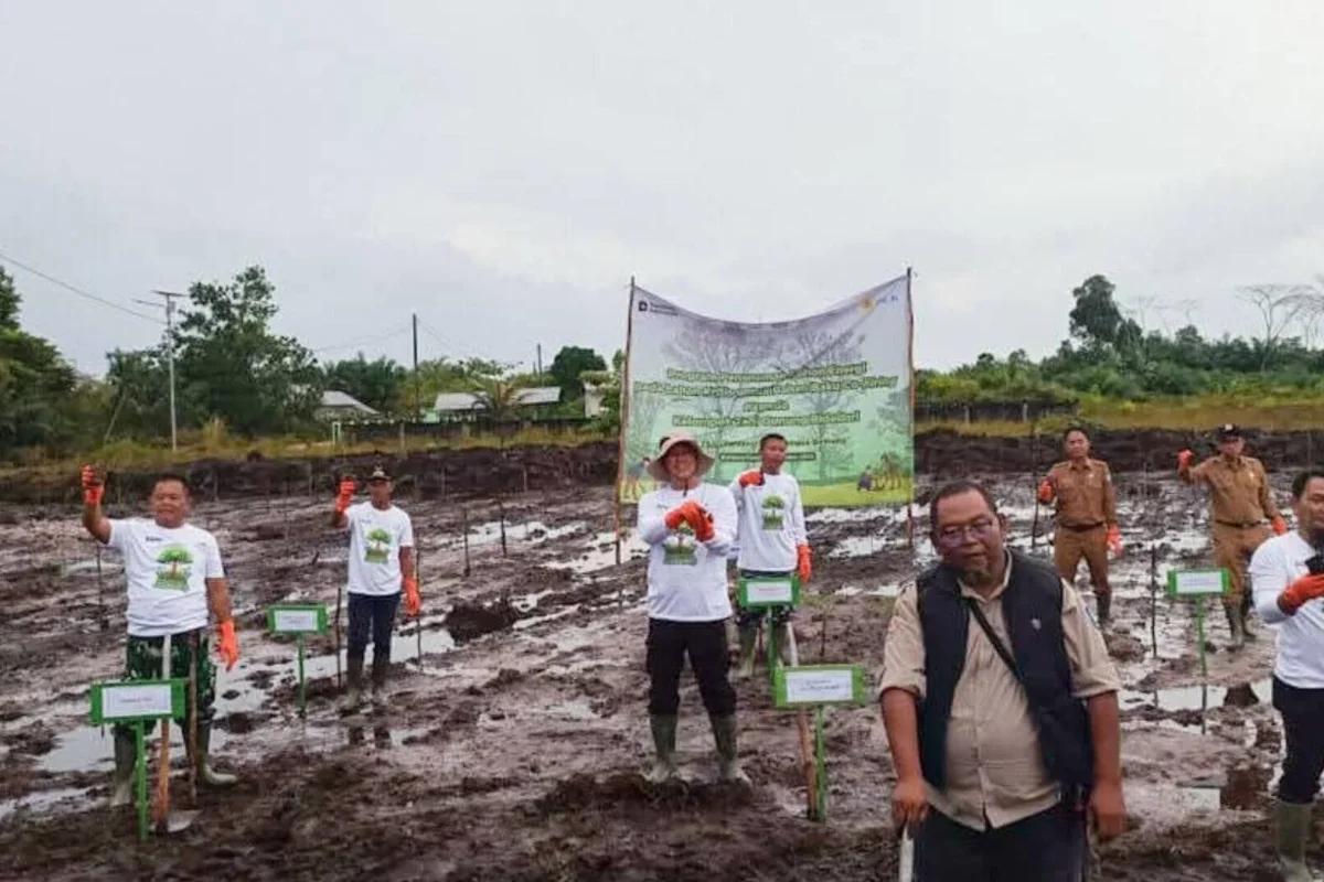 Inshot 20251209 164936134