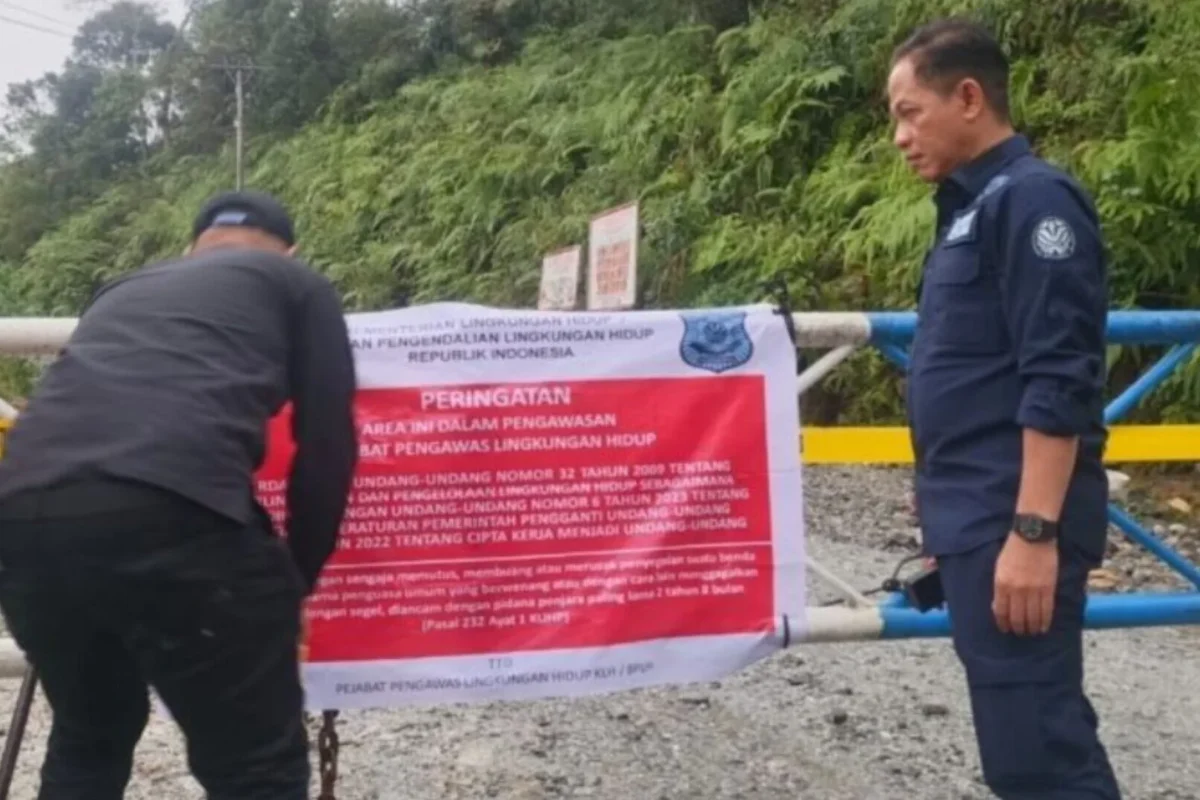 Inshot 20251210 004841389