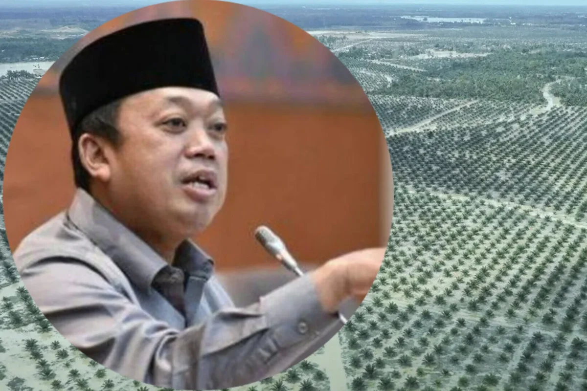 Inshot 20251210 114111145