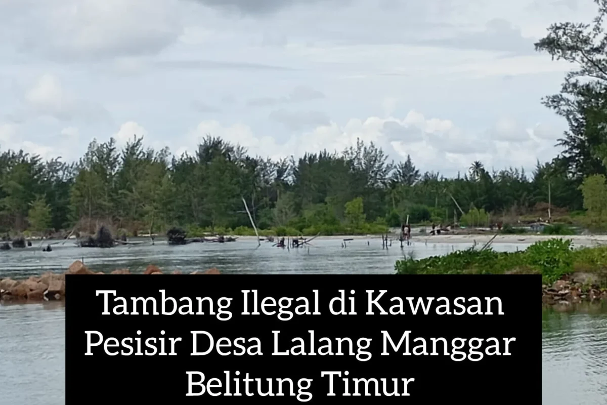 Inshot 20251210 165800163