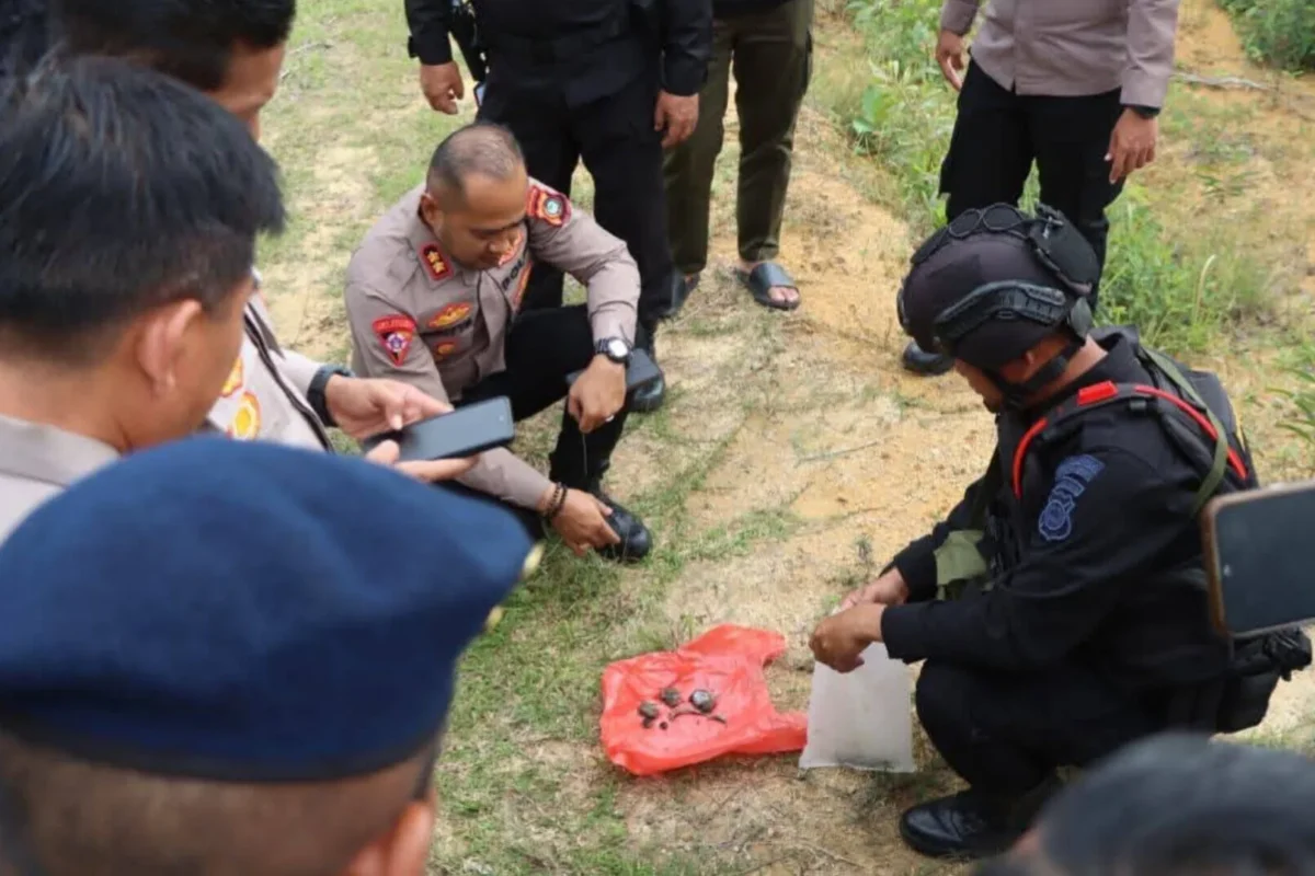 Inshot 20251212 121808942