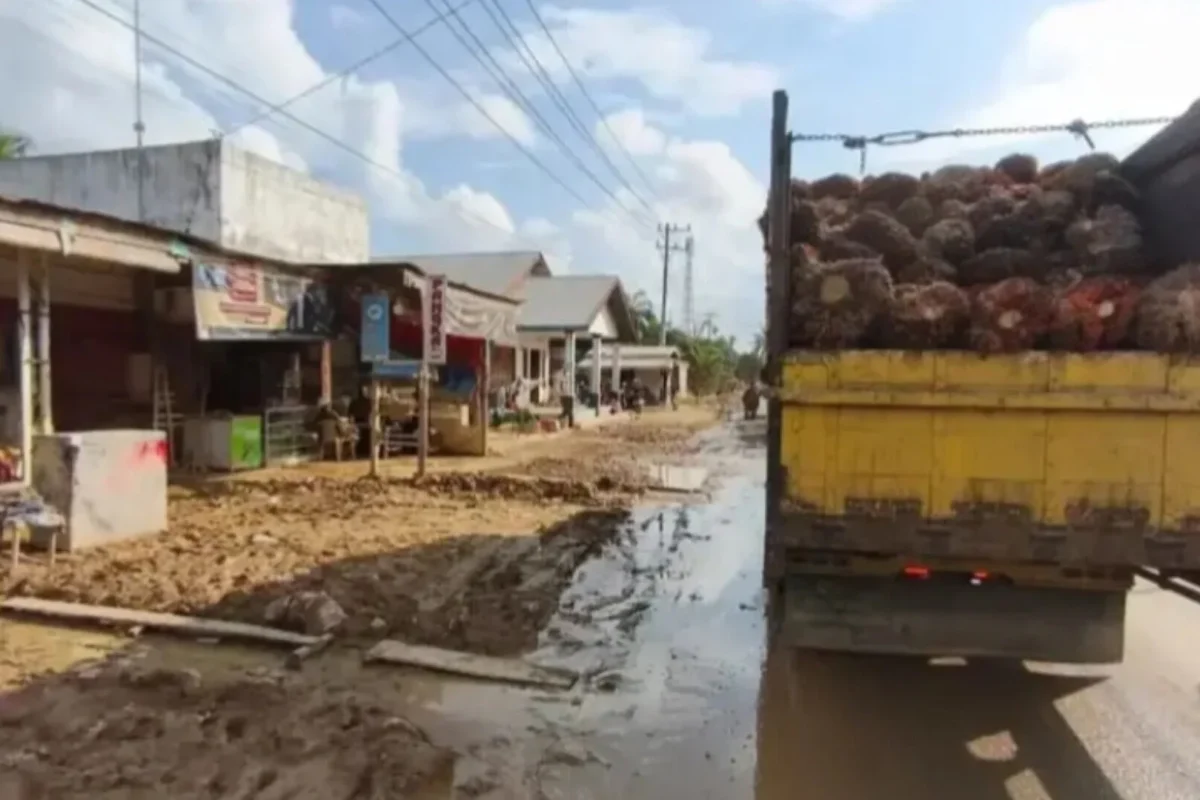 Inshot 20251212 123540256