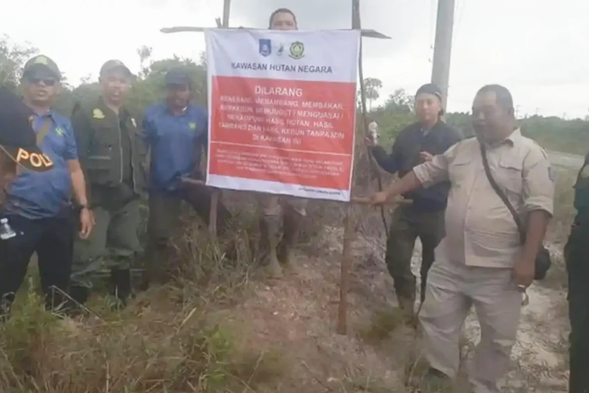 Inshot 20251212 132014322