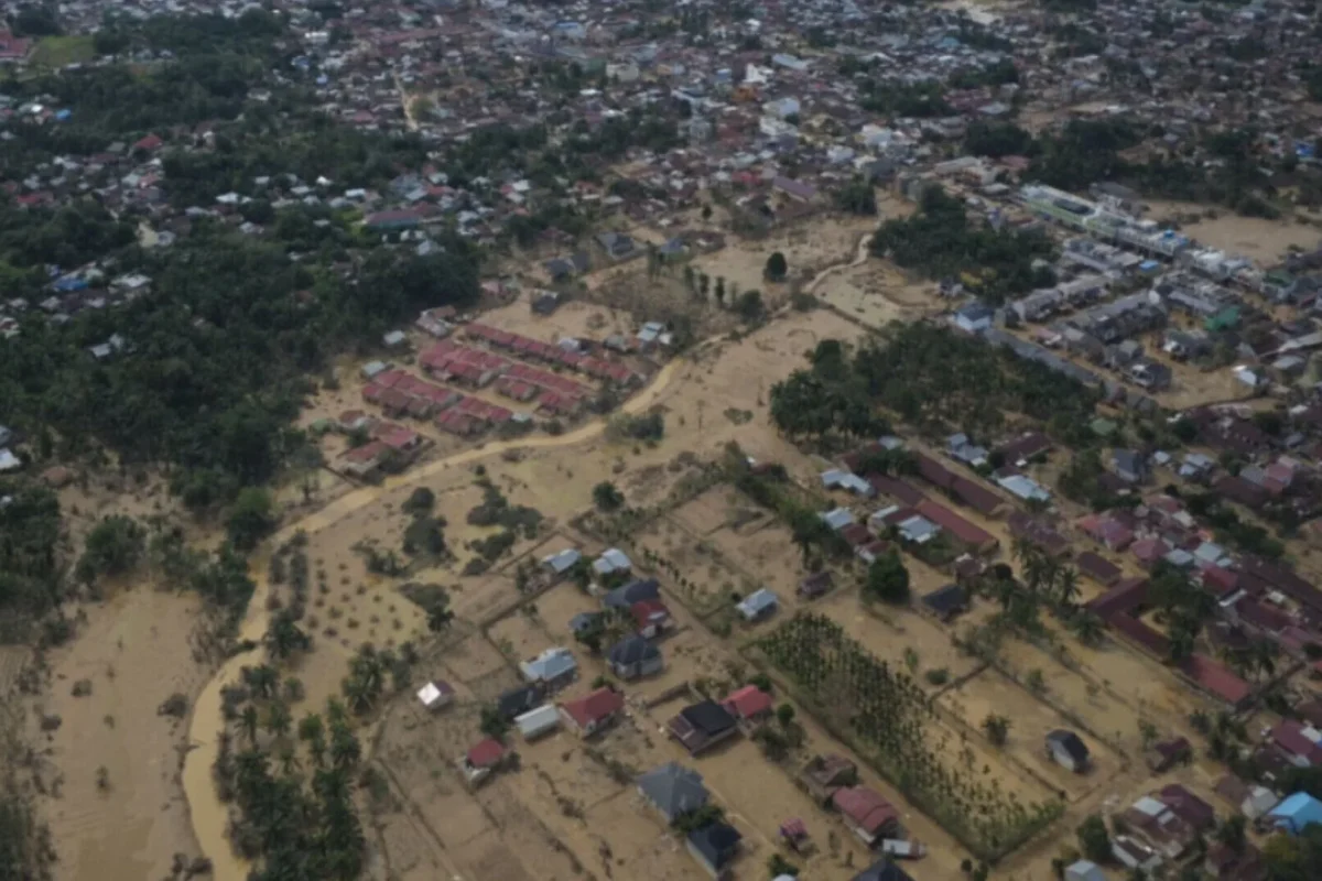 Inshot 20251215 140346781