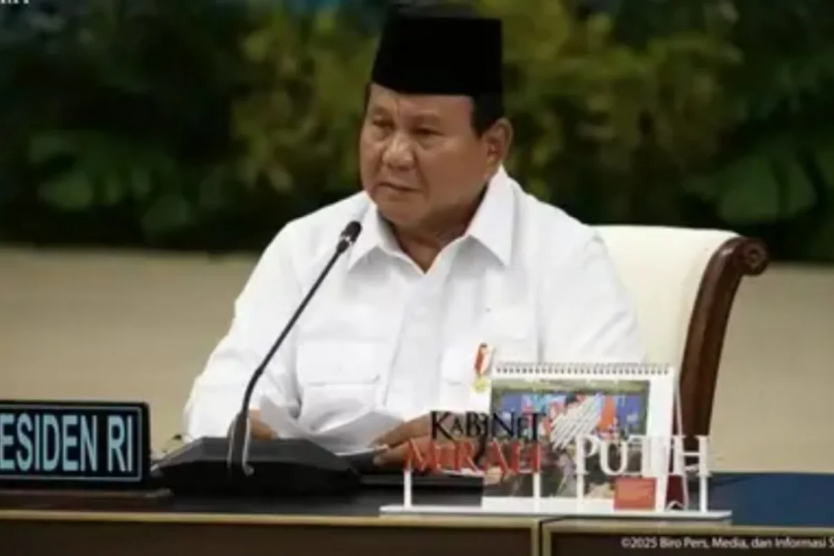 Inshot 20251216 172144880