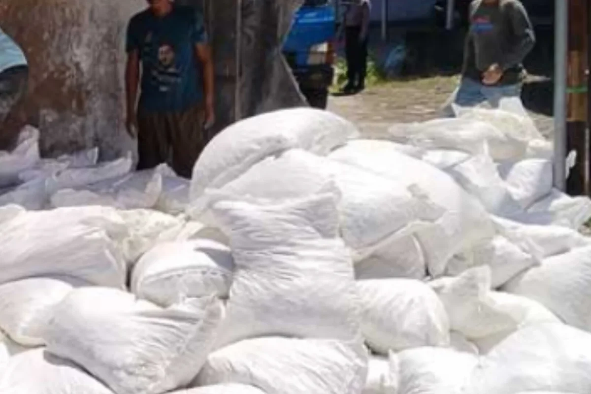 Inshot 20251216 192630536