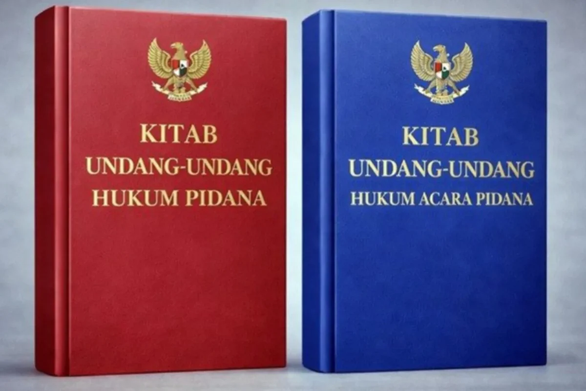 Inshot 20260102 124403326