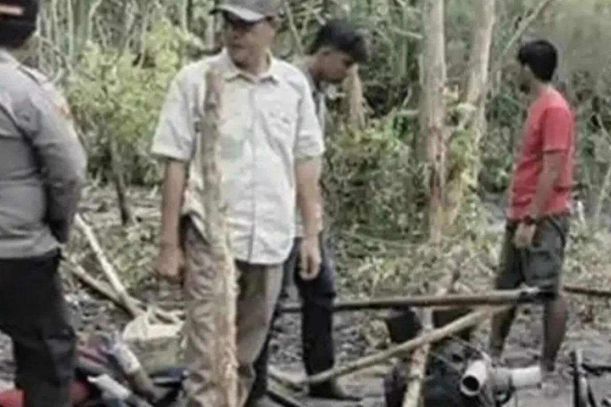 Inshot 20260110 053138577