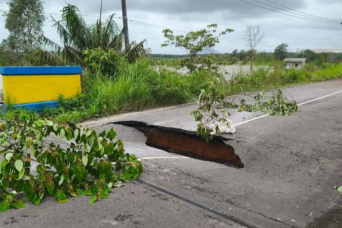 Inshot 20260111 023434785