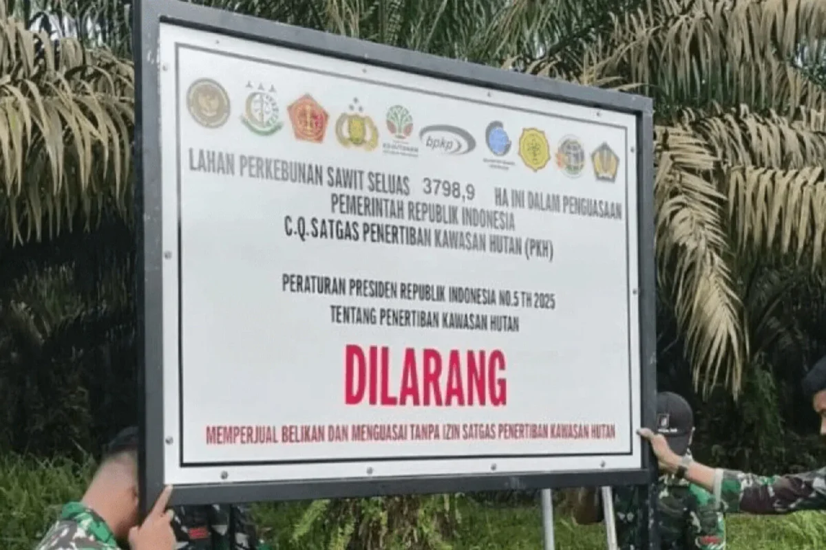 Inshot 20260118 185513977