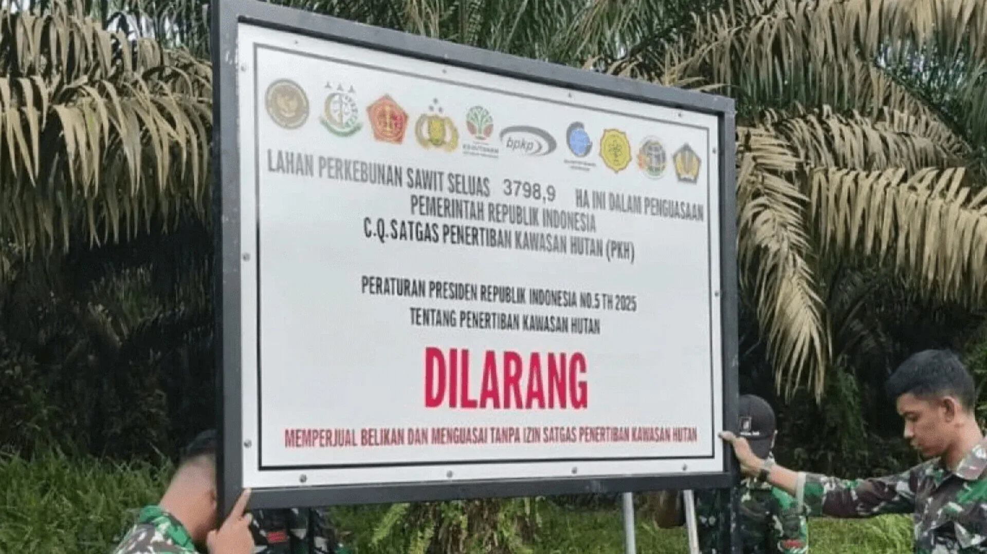 Inshot 20260118 185513977