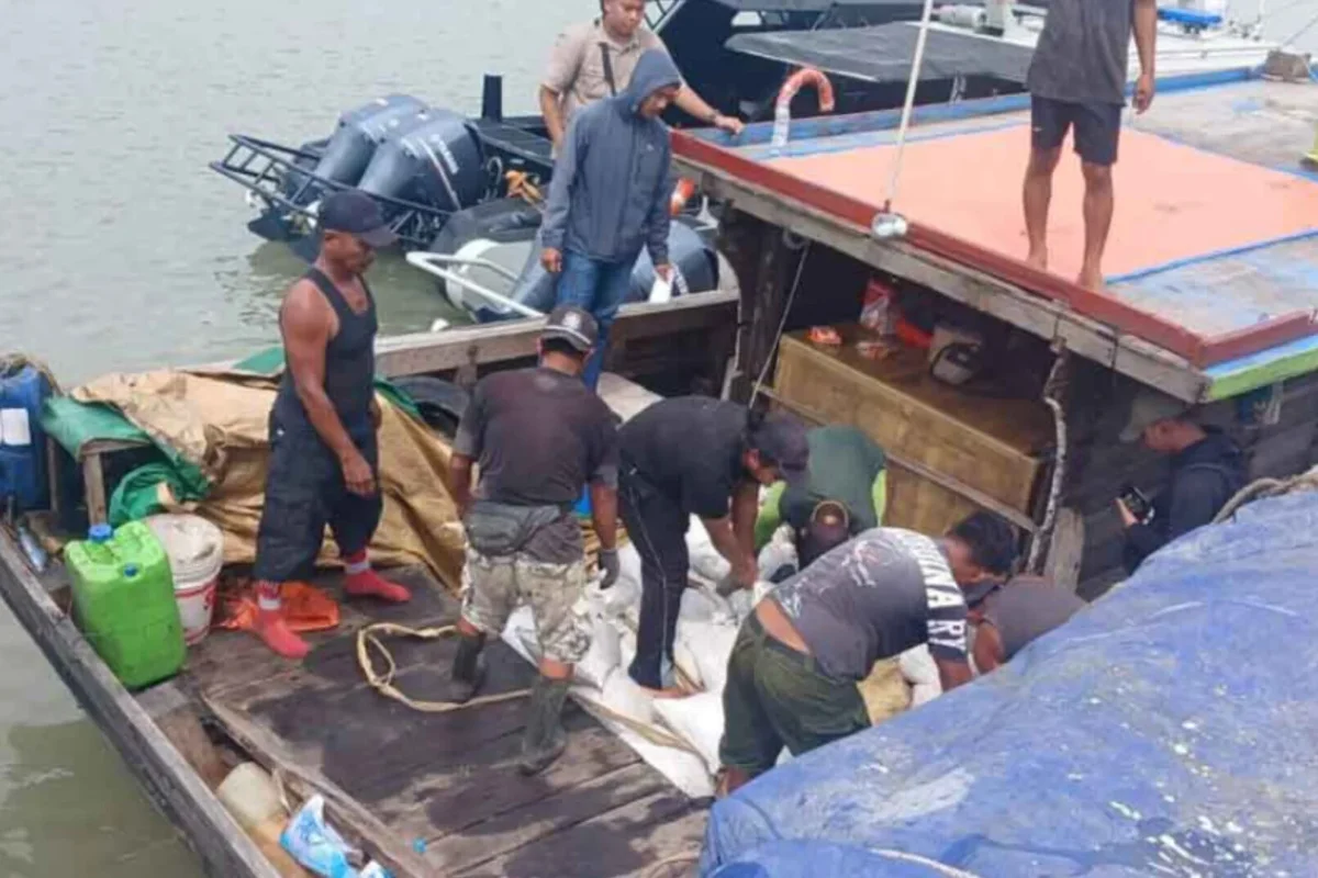 Inshot 20260119 093613639