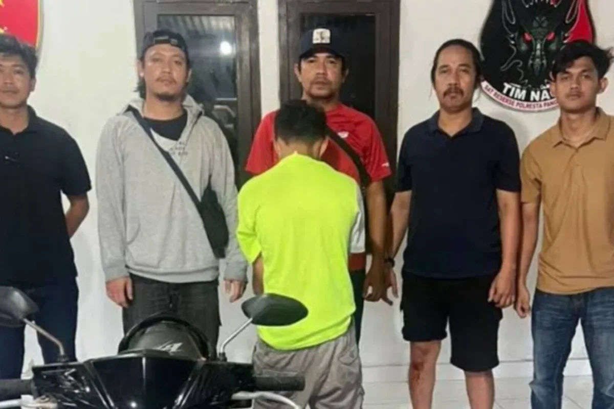 Inshot 20260120 170746888