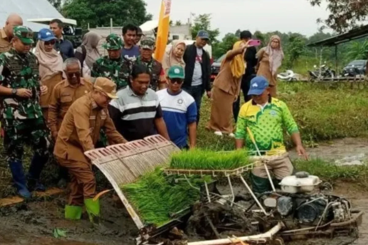 Inshot 20260121 094758427