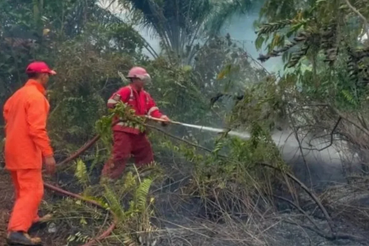 Inshot 20260122 193642793