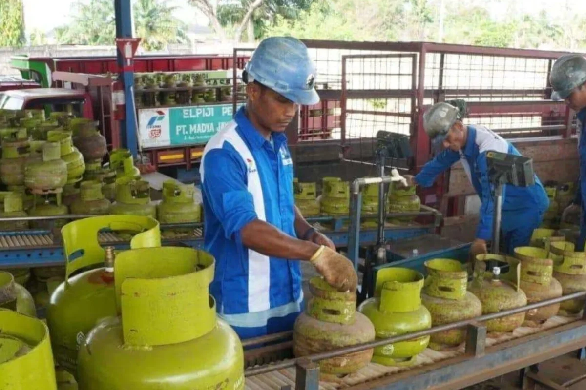 Inshot 20260124 172510363