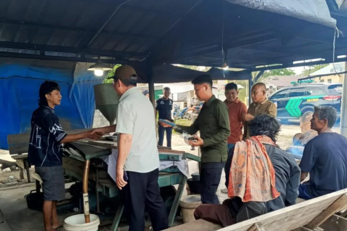 Inshot 20260125 204806090