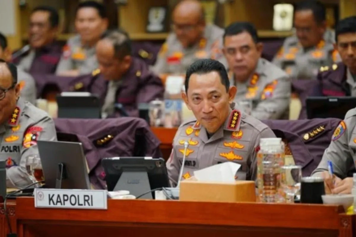 Inshot 20260127 123419656