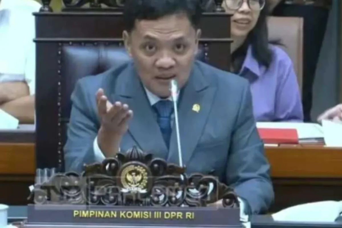 Inshot 20260127 143817704