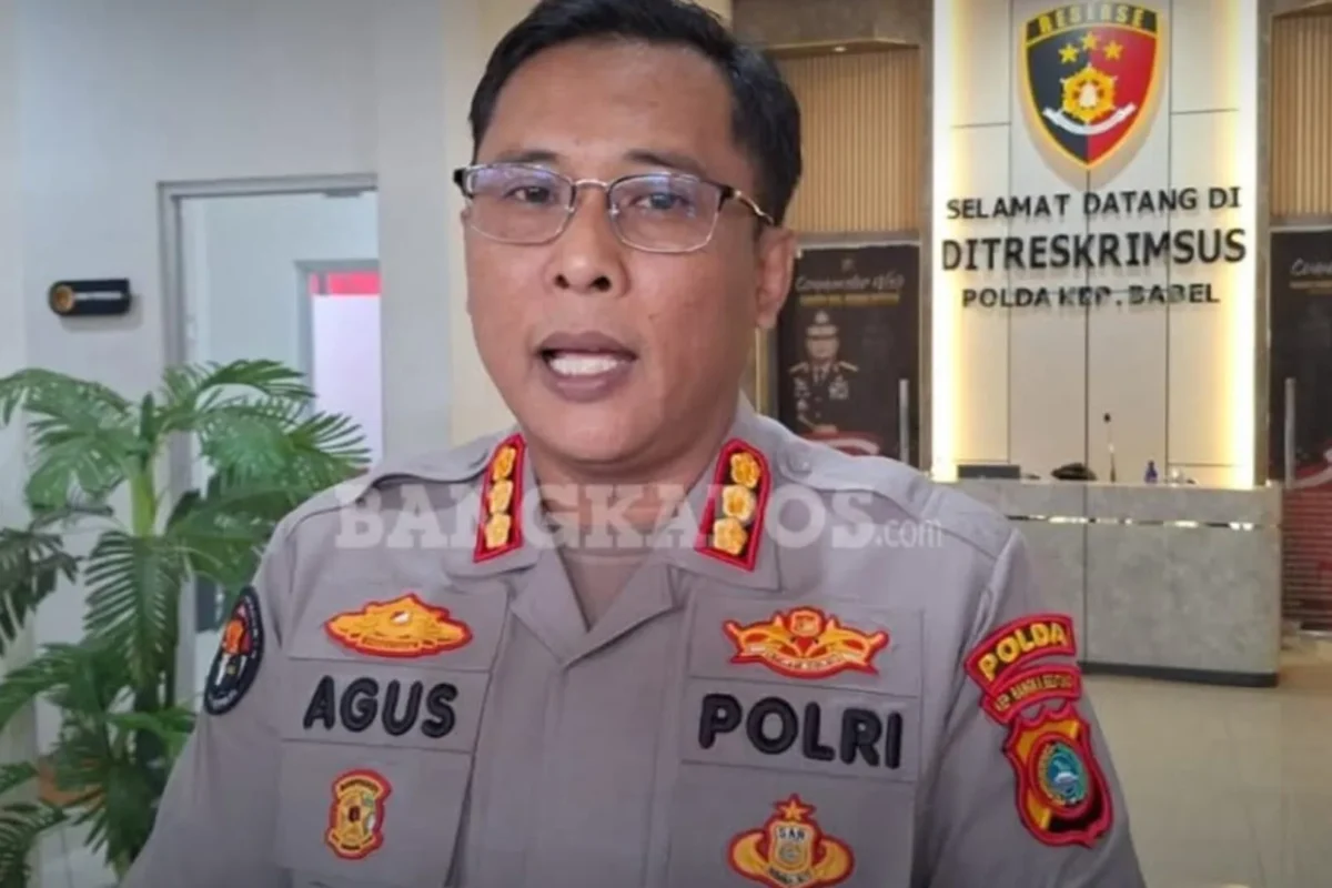 Inshot 20260128 140231748