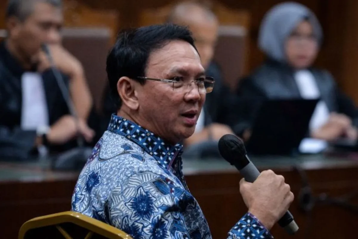 Inshot 20260128 144547140