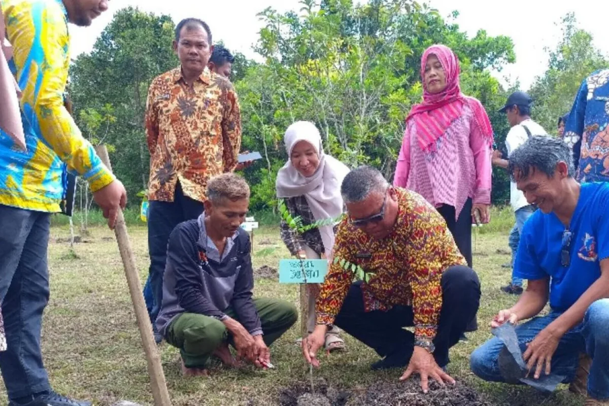 Inshot 20260131 003126680