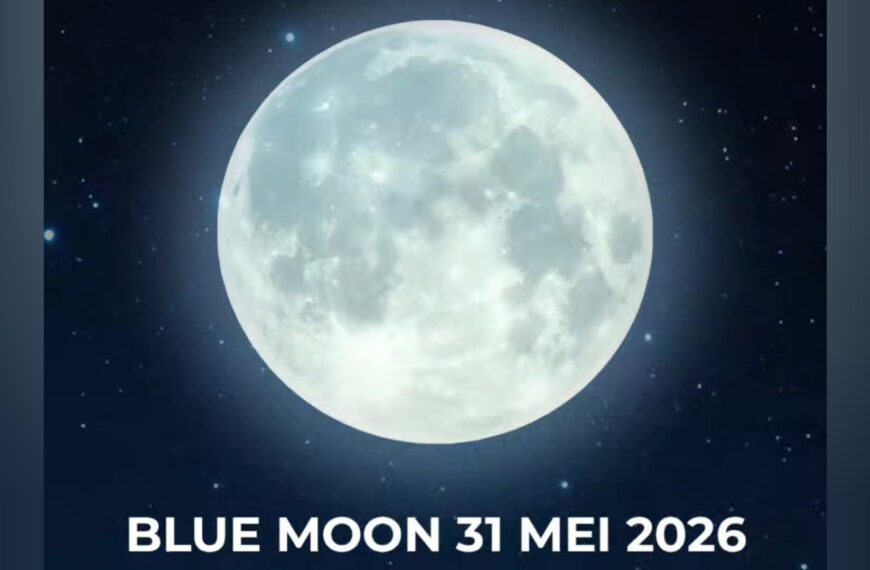 InShot 20260531
